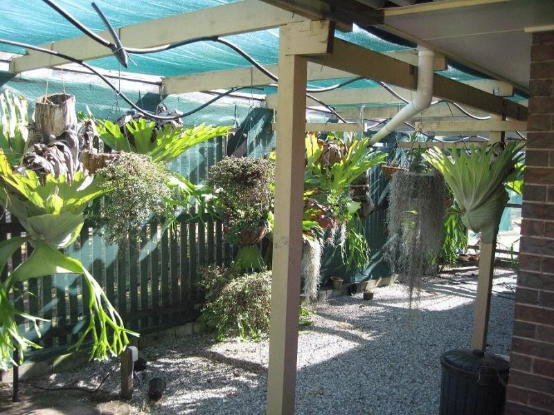 Park Ridge QLD 4125