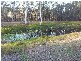Burbank QLD 4156