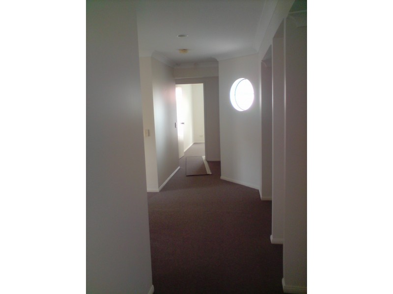 11 Pepperina Place, Drewvale QLD 4116