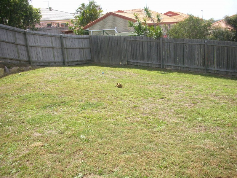 58 Muscari Street, Drewvale QLD 4116