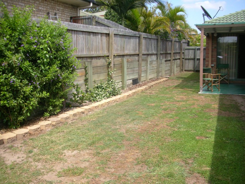 58 Muscari Street, Drewvale QLD 4116