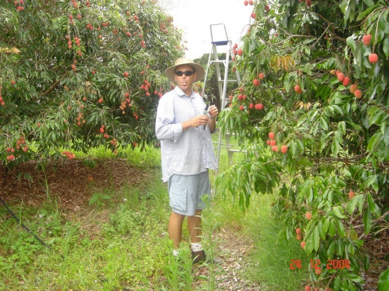 Redland Bay QLD 4165