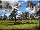Jimboomba QLD 4280