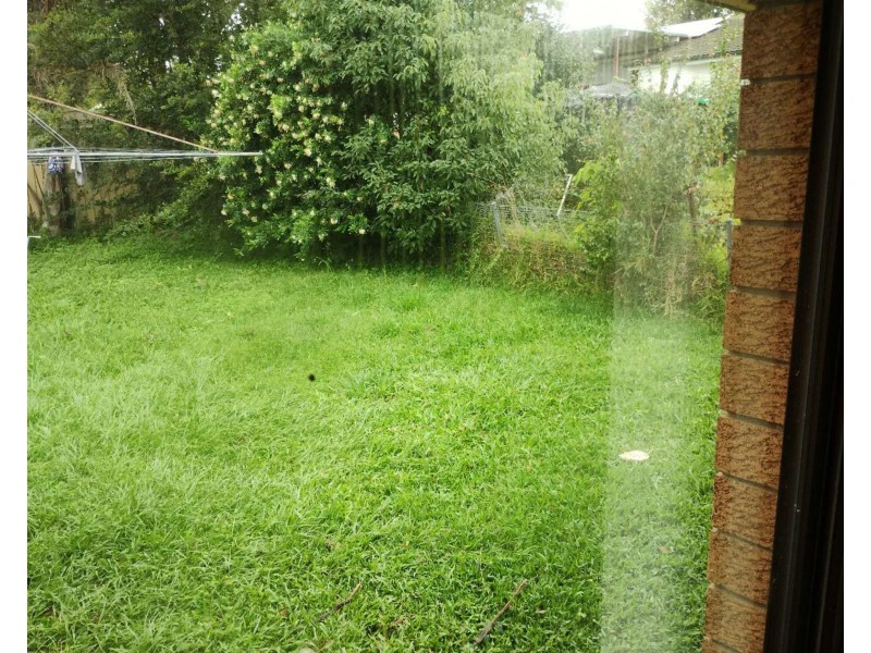 3 Thulimbah Street, Coopers Plains QLD 4108