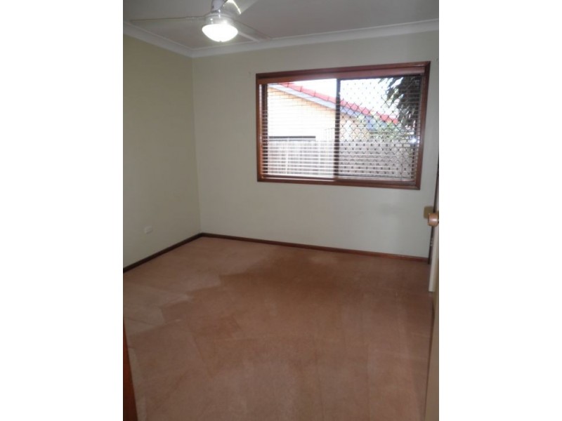 19 Snowberry Street, Sunnybank Hills QLD 4109