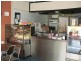 Ashgrove QLD 4060