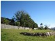 Eight Mile Plains QLD 4113