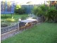 15 Falstaff Street, Sunnybank Hills QLD 4109