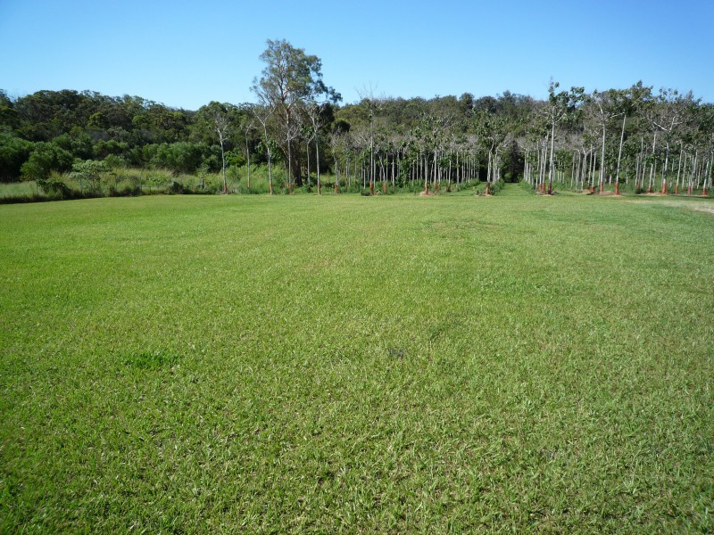 Kuraby QLD 4112