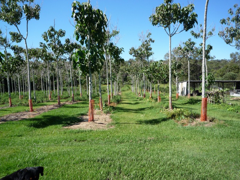 Kuraby QLD 4112