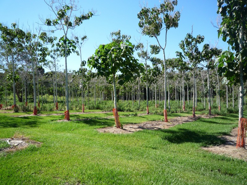 Kuraby QLD 4112