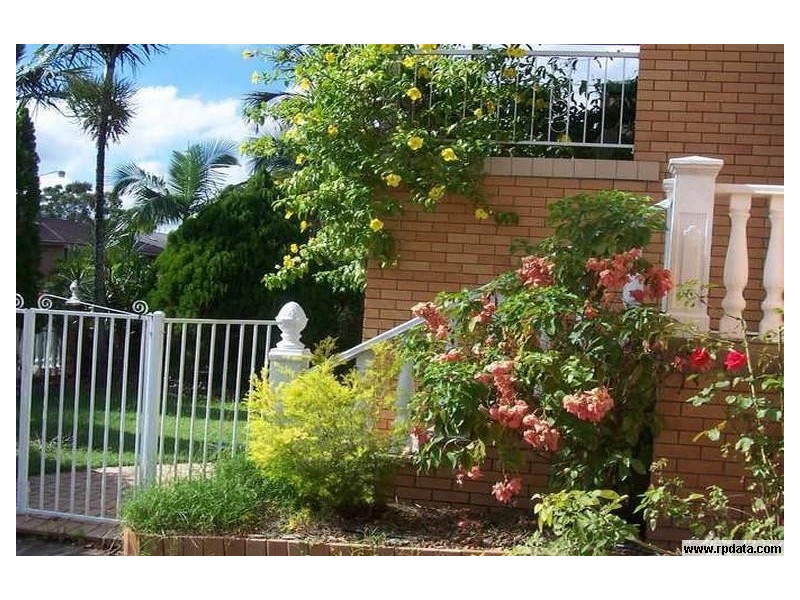 Portulaca, Macgregor QLD 4109