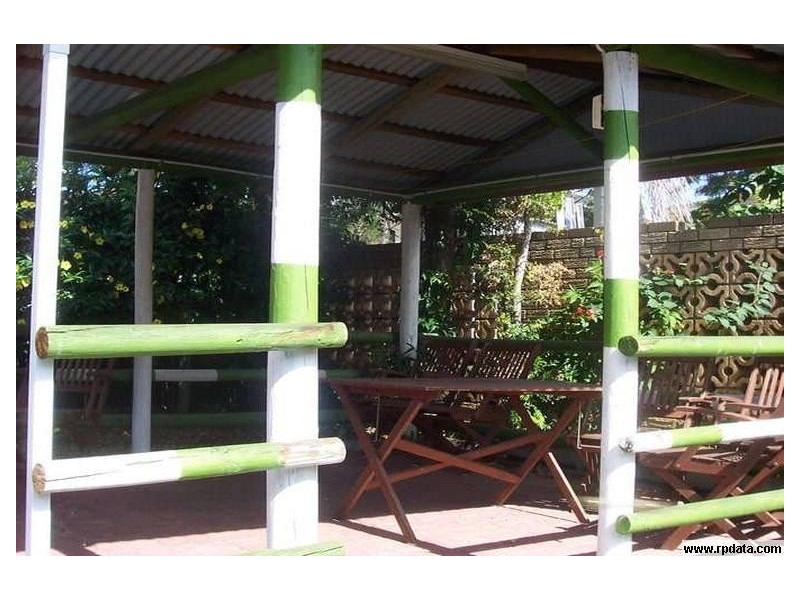 Portulaca, Macgregor QLD 4109