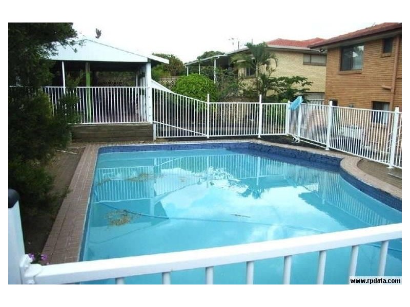 Portulaca, Macgregor QLD 4109