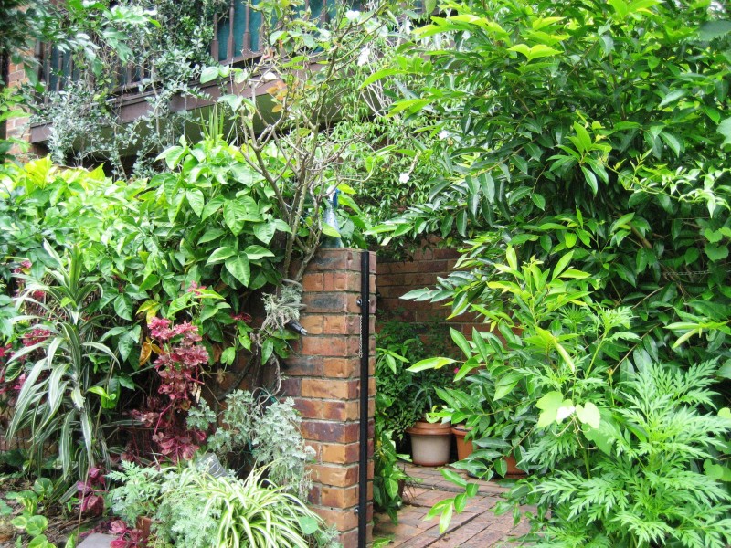 18/38 Barrett St, Robertson QLD 4109