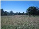 Loganlea QLD 4131
