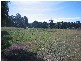 Loganlea QLD 4131