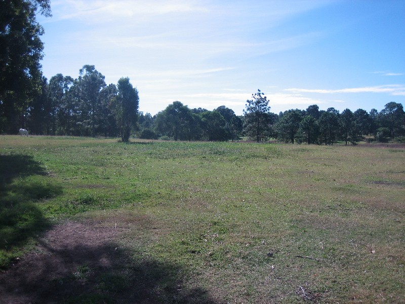 Loganlea QLD 4131