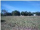 Loganlea QLD 4131