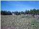 Loganlea QLD 4131