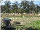 Jimboomba QLD 4280
