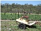 Jimboomba QLD 4280
