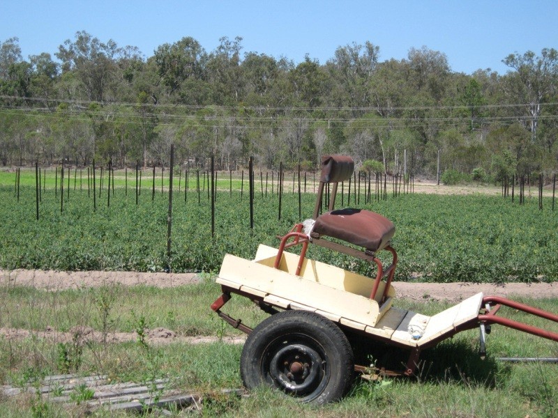 Jimboomba QLD 4280