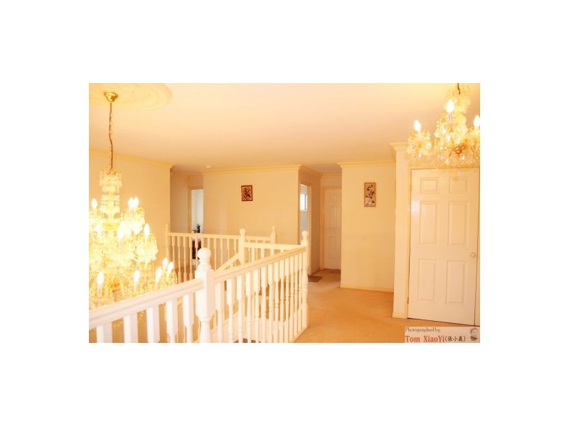 8 Adios Close, Sunnybank Hills QLD 4109