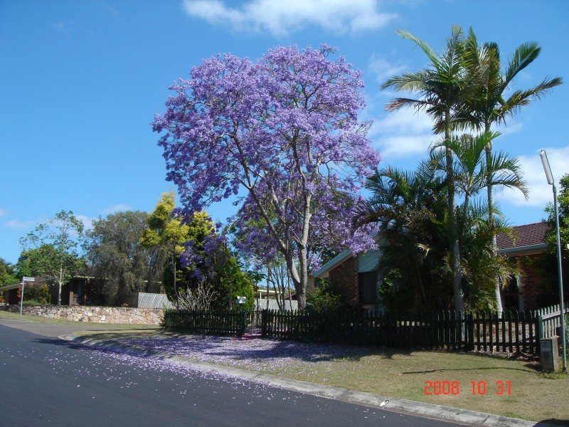 17 Amarna Street, Eight Mile Plains QLD 4113