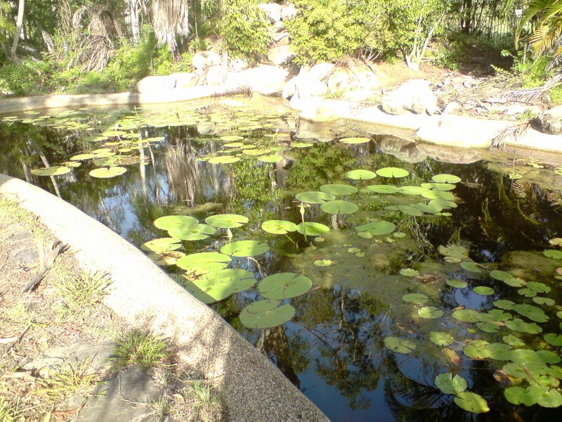 350 Benhiam St, Calamvale QLD 4116