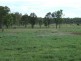 Kogan QLD 4406