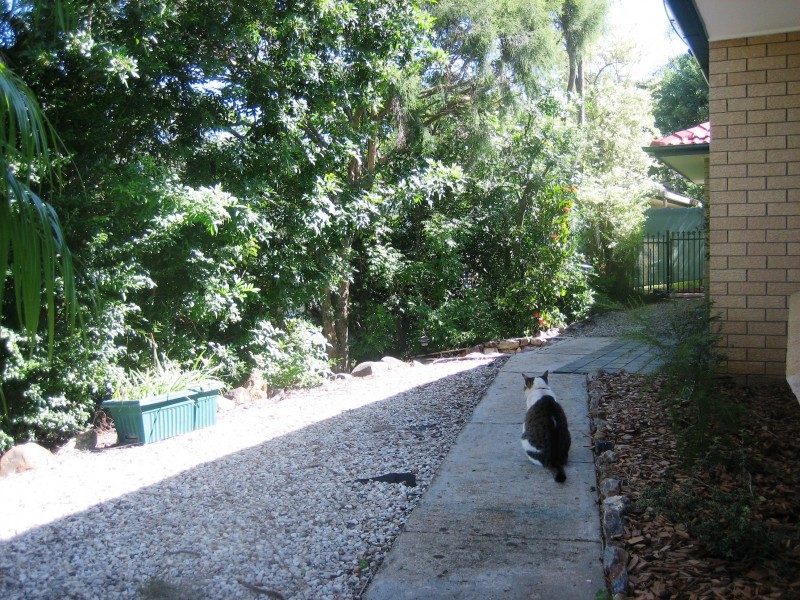 Sunnybank Hills QLD 4109