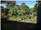 Logan Central QLD 4114
