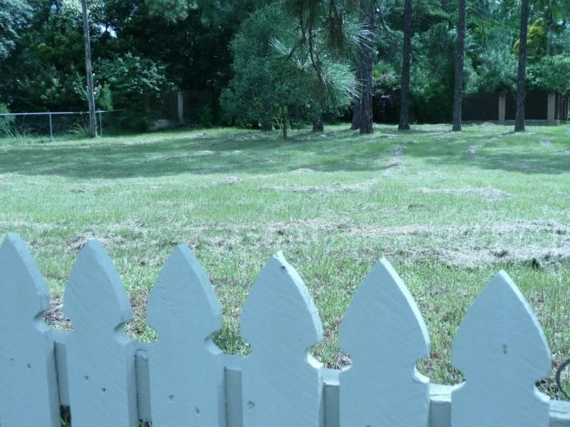 Loganlea QLD 4131