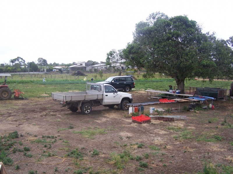 31 Radke Rd, Bethania QLD 4205