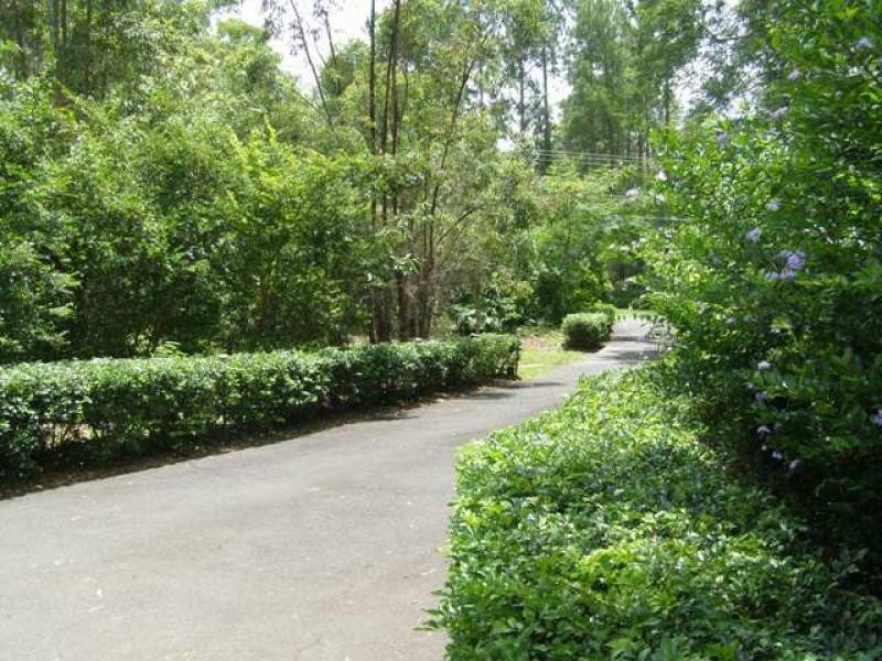 Loganlea QLD 4131