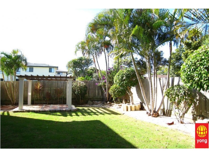 93  Lynelle Street, Sunnybank Hills QLD 4109