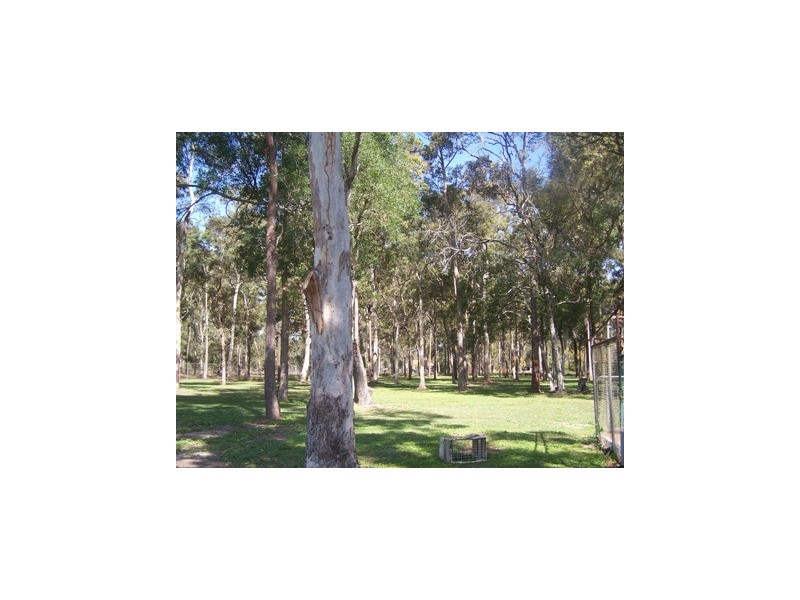 88 Vied Rd, Pallara QLD 4110