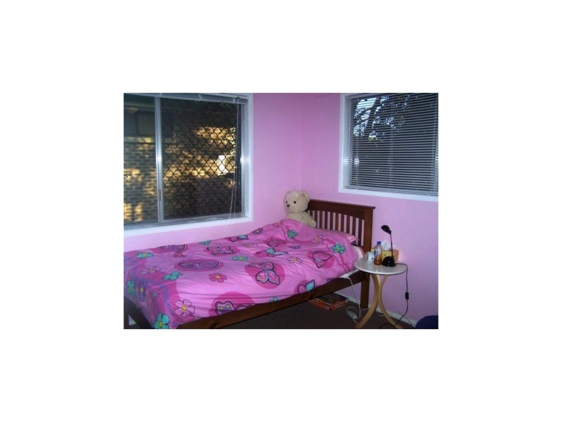 53 Cupania St, Algester QLD 4115