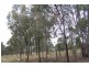 7 Bayliss St, Ripley QLD 4306