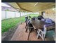26 Ritsie Street, Rochedale South QLD 4123