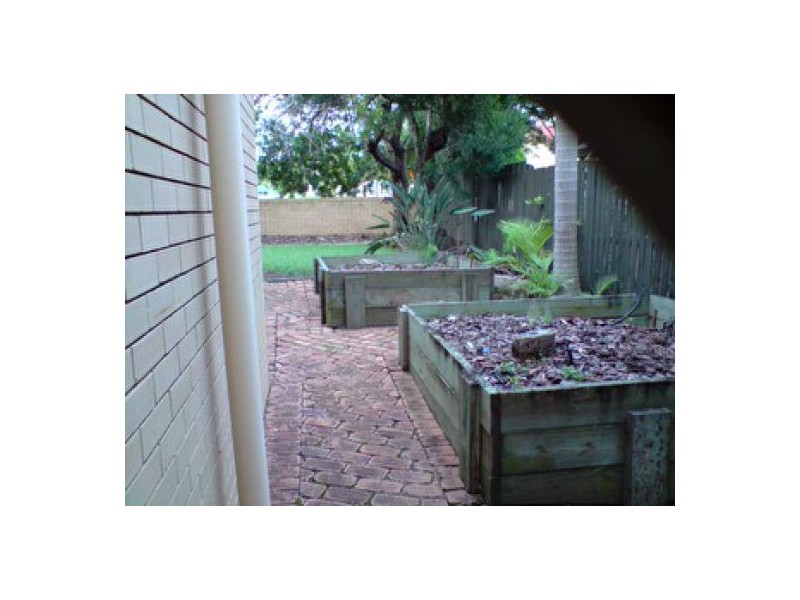 41 Driftwood St, Sunnybank Hills QLD 4109