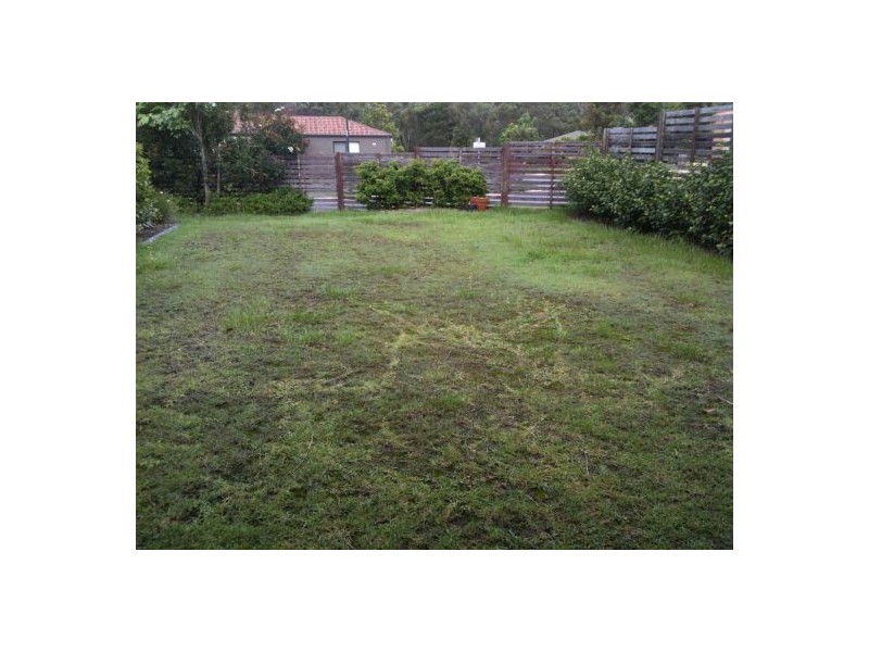 5 Mapleton Circuit, Parkinson QLD 4115