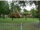 Woodridge QLD 4114