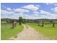 1293 Ripley Rd, South Ripley QLD 4306