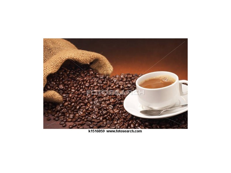 Fortitude Valley QLD 4006