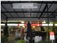 Ashgrove QLD 4060