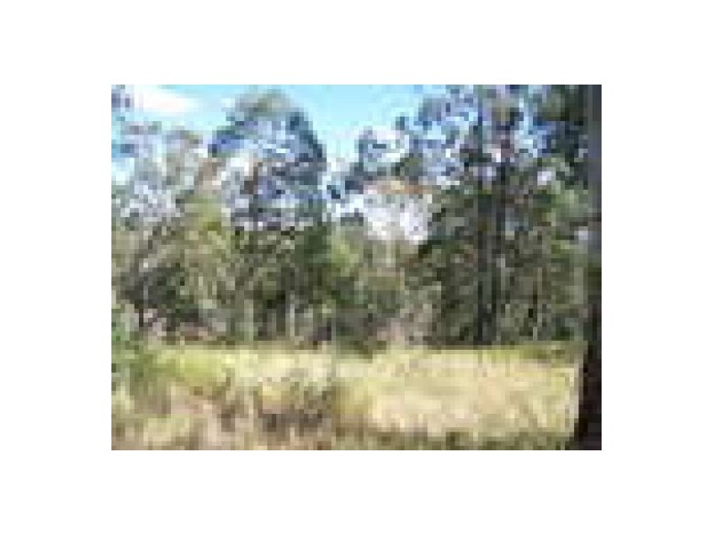 211 Harrison Rd, Cedar Vale QLD 4285