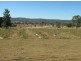 Laidley Heights QLD 4341