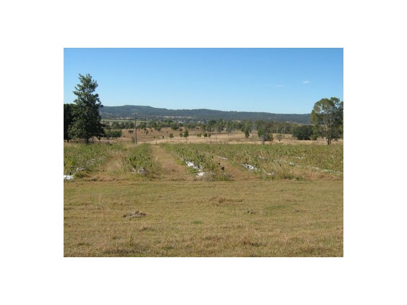 Laidley Heights QLD 4341